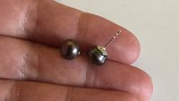 peacock black pearl earrings. pearl studs. 6.5mm to 7mm pearls on sterling silver posts.