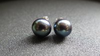 peacock black pearl earrings. pearl studs. 6.5mm to 7mm pearls on sterling silver posts.