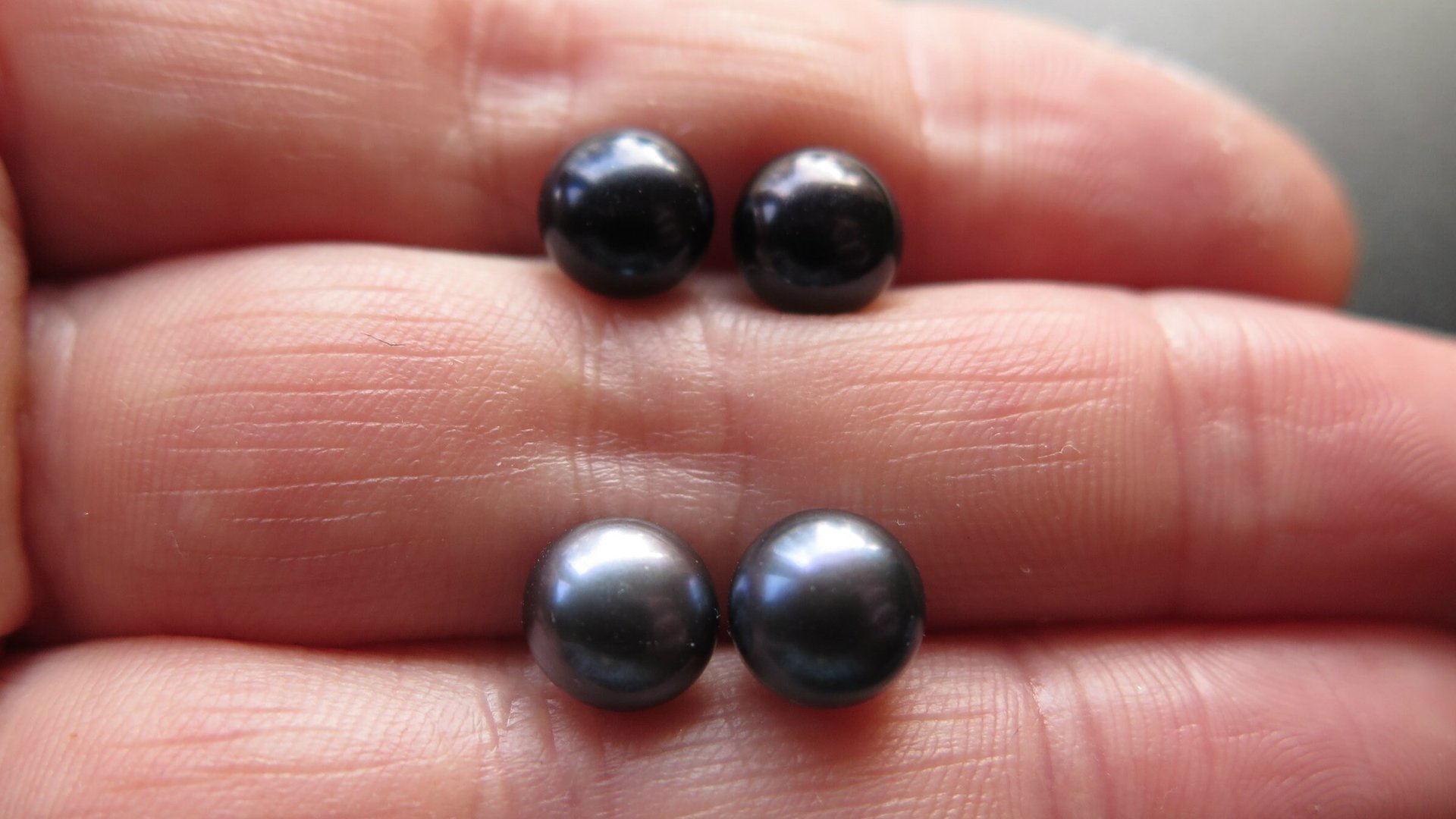 peacock black pearl earrings. pearl studs. 6.5mm to 7mm pearls on sterling silver posts.