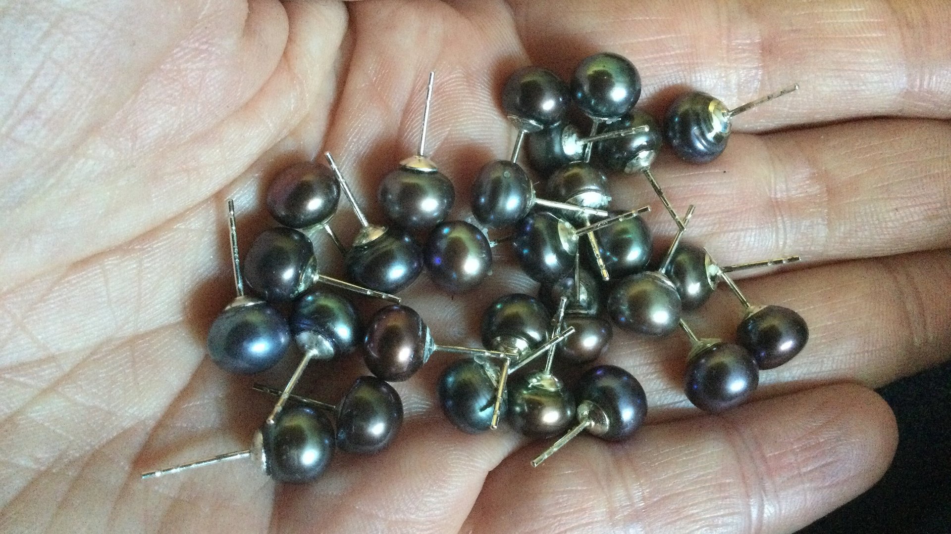 peacock black pearl earrings. pearl studs. 6.5mm to 7mm pearls on sterling silver posts.
