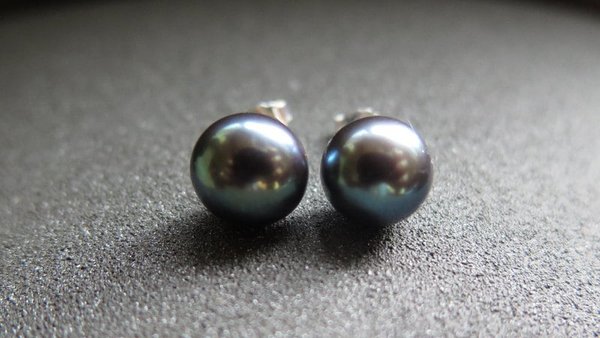 peacock black pearl earrings. pearl studs. 6.5mm to 7mm pearls on sterling silver posts.